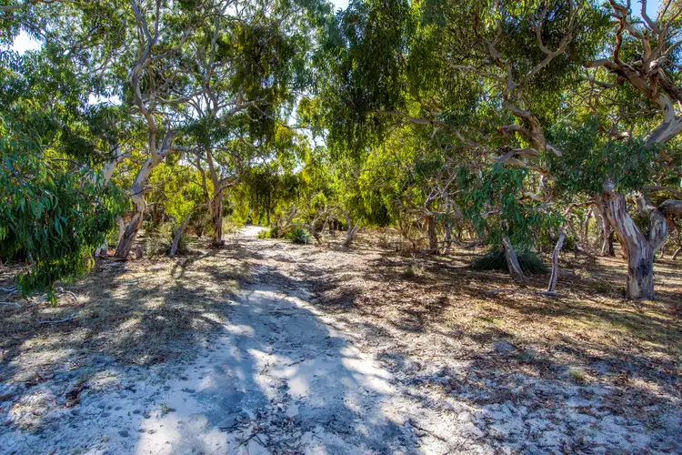 Sixth view of Homely rural property listing, Lot 109 No Where Else Road, Delamere SA 5204
