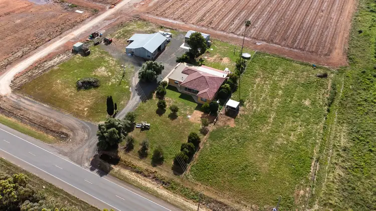 Main view of Homely house listing, 313 Rankin Springs Road, Beelbangera NSW 2680