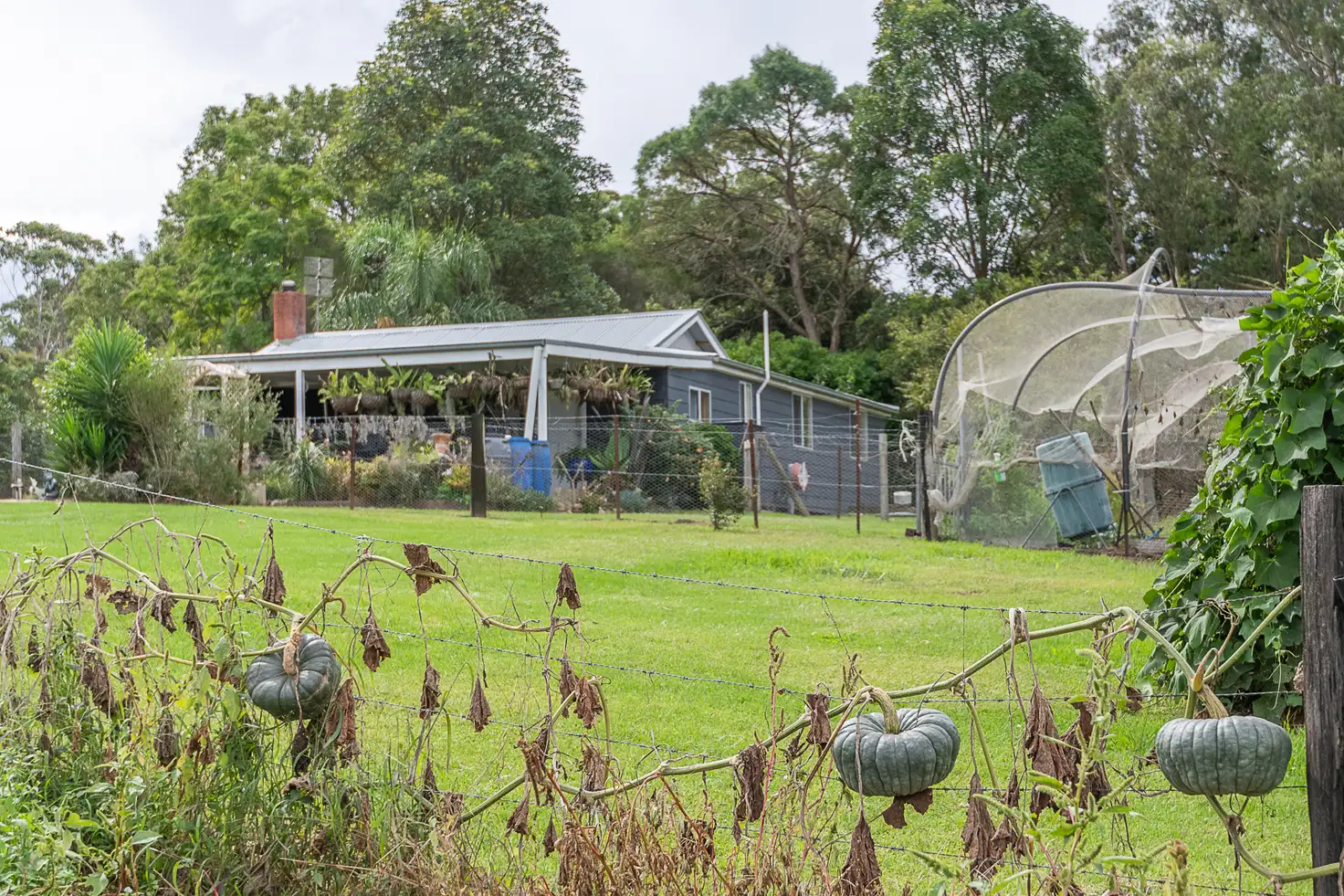 Main view of Homely house listing, 36 Eurobodalla Road, Bodalla NSW 2545