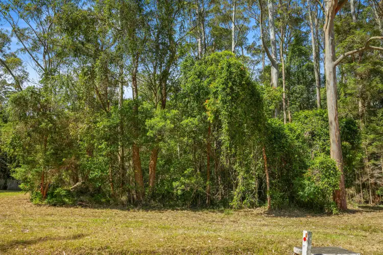 Fourth view of Homely land listing, 82 Yarram Road, Bensville NSW 2251