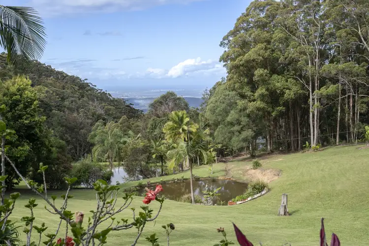 Fourth view of Homely house listing, 216 Freemans Road, Lower Beechmont QLD 4211