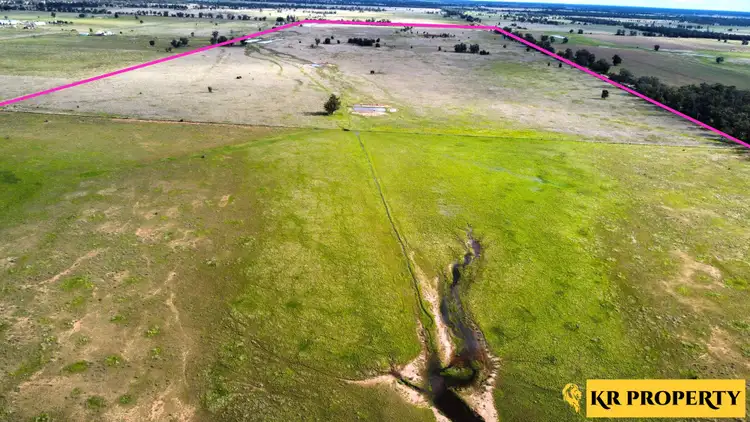 Fifth view of Homely rural property listing, 1060 Yarrie Lake Road, Narrabri NSW 2390