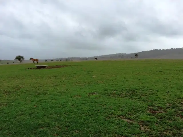 Seventh view of Homely rural property listing, 2016 New England Highway, Scone NSW 2337