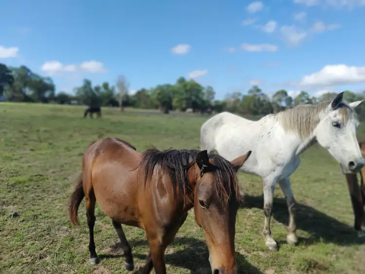Fifth view of Homely land listing, 64 Kent Parade, Torbanlea QLD 4662