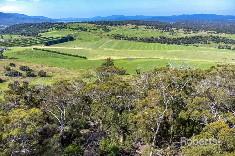 PID 7213543 Tasman Highway, Apslawn TAS 7190