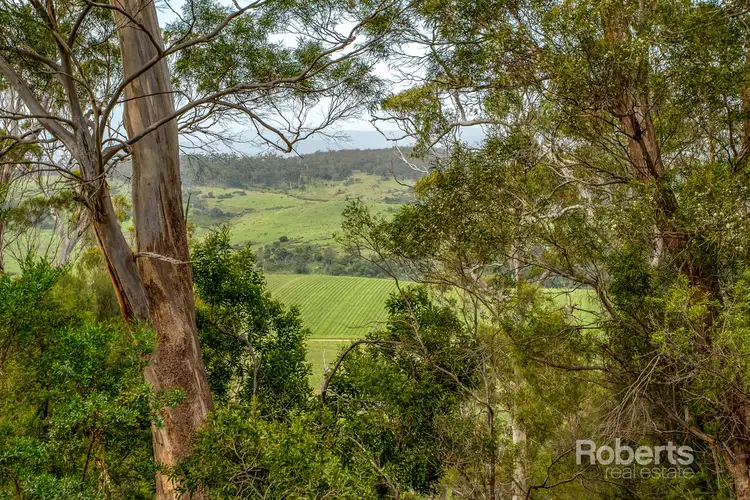 Second view of Homely land listing, PID 7213543 Tasman Highway, Apslawn TAS 7190