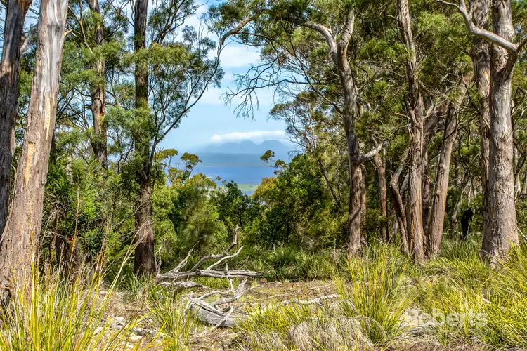Seventh view of Homely land listing, PID 7213543 Tasman Highway, Apslawn TAS 7190