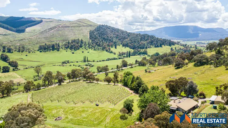 Main view of Homely house listing, 390 Happy Valley Road, Myrtleford VIC 3737
