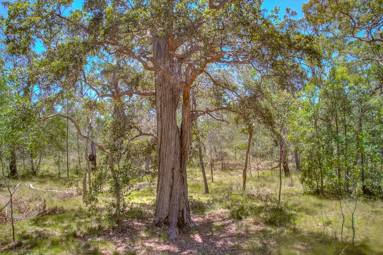 Third view of Homely land listing, 479 Davies Road, Captain Creek QLD 4677