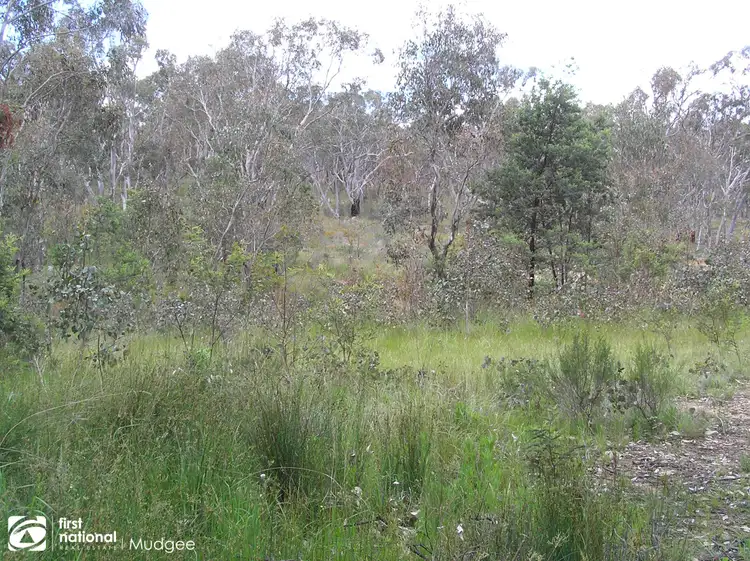 Second view of Homely rural property listing, 4076 Hill End Road, Hill End NSW 2850