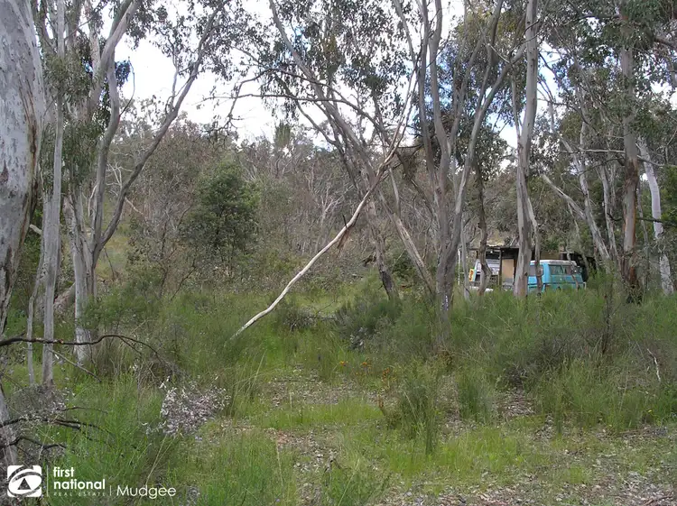 Third view of Homely rural property listing, 4076 Hill End Road, Hill End NSW 2850