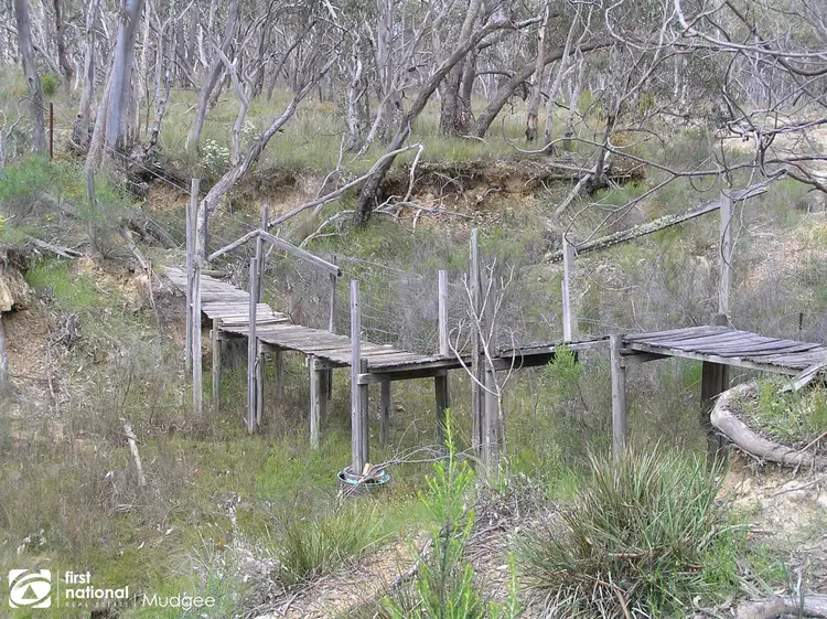 Fourth view of Homely rural property listing, 4076 Hill End Road, Hill End NSW 2850