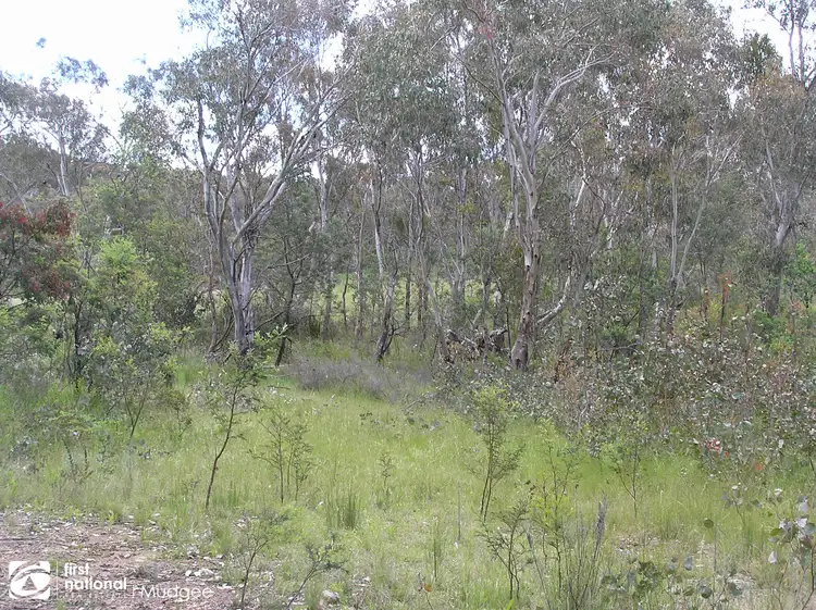 Fifth view of Homely rural property listing, 4076 Hill End Road, Hill End NSW 2850