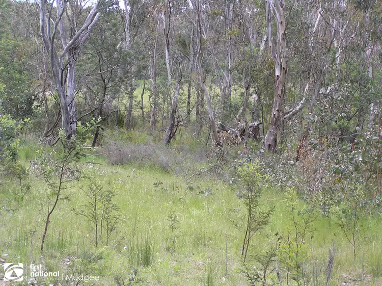 Sixth view of Homely rural property listing, 4076 Hill End Road, Hill End NSW 2850