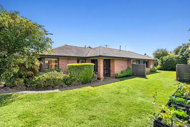Main view of Homely house listing, 147 South Valley Road, Highton VIC 3216