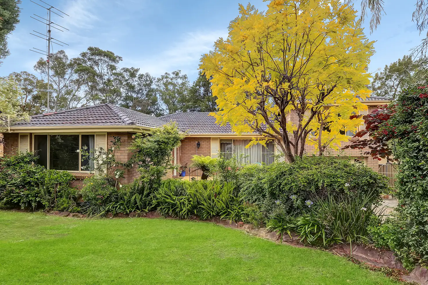 Main view of Homely house listing, 141 Laver Road, Dapto NSW 2530