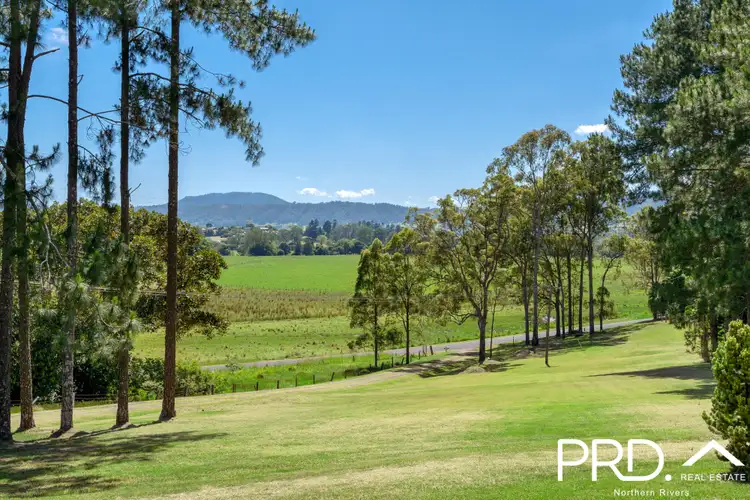 Fourth view of Homely house listing, 47 Wiangaree Back Road, Geneva NSW 2474