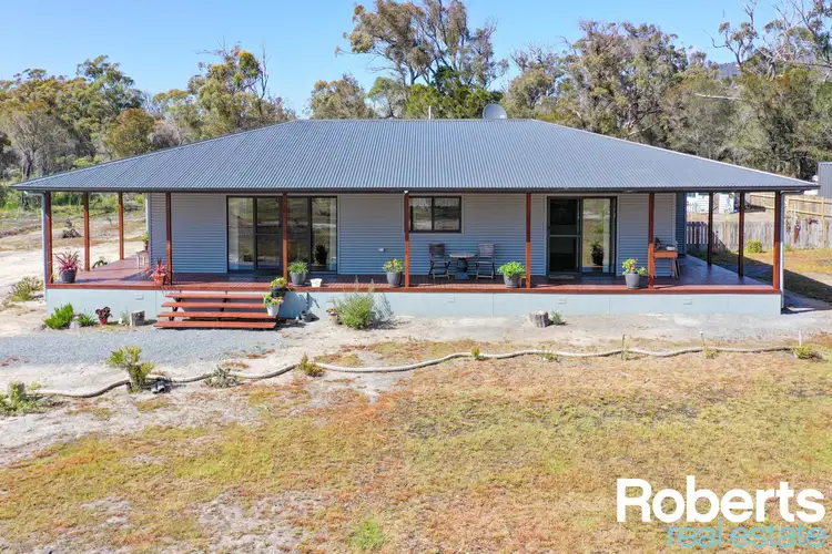 Main view of Homely house listing, 402 Badger Head Road, Badger Head TAS 7270