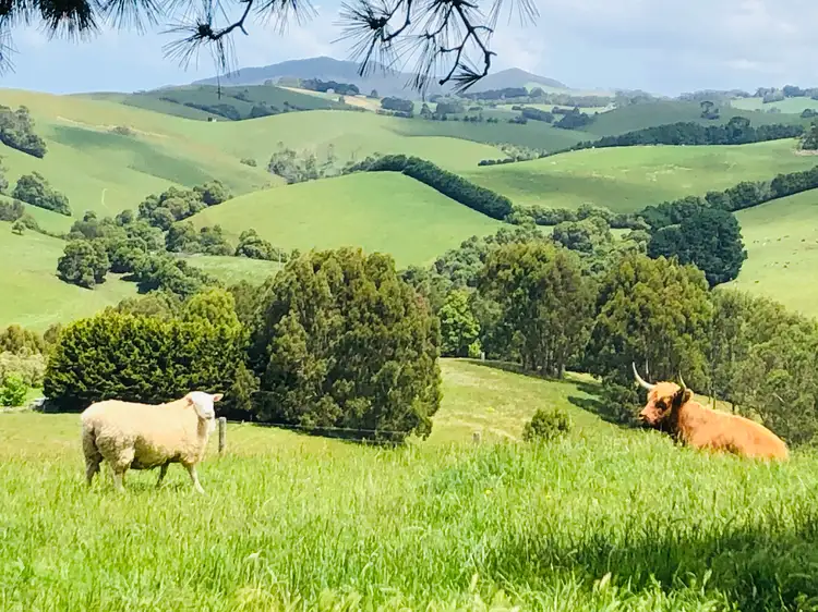 Fourth view of Homely rural property listing, 3540 South Gippsland Hwy, Foster VIC 3960