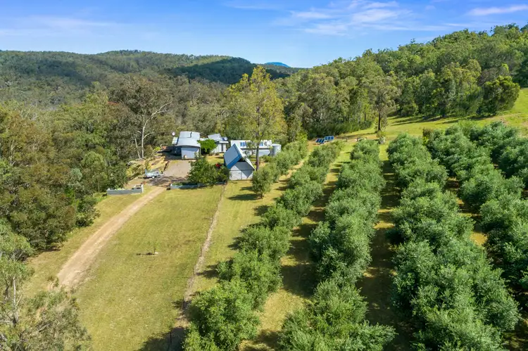 Second view of Homely rural property listing, 5835 Putty Road, Howes Valley NSW 2330