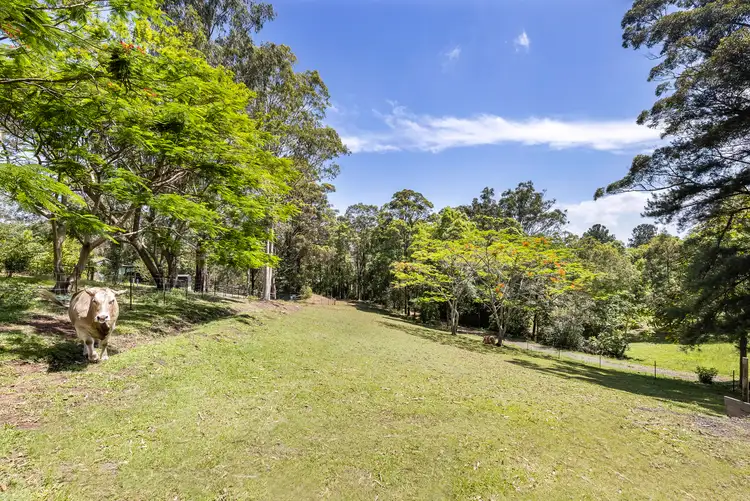 Sixth view of Homely land listing, Lot 1 722 Diddillibah Road, Diddillibah QLD 4559