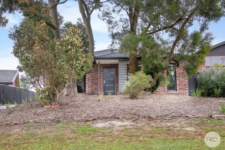 Second view of Homely house listing, 11 Peppermint Place, Mount Pleasant VIC 3350