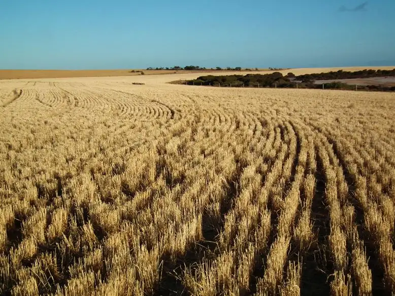 Main view of Homely rural property listing, Pcs 1-3 & 7-9 Hundred of Dixson, Port Neill SA 5604