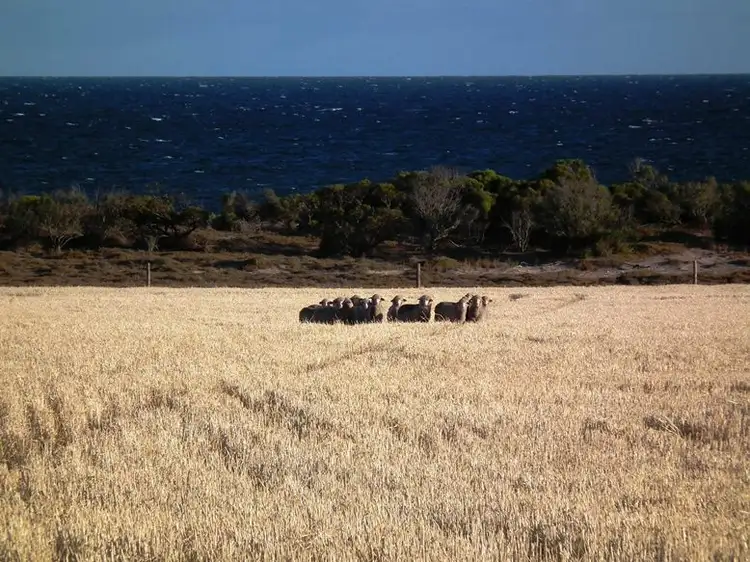 Third view of Homely rural property listing, Pcs 1-3 & 7-9 Hundred of Dixson, Port Neill SA 5604