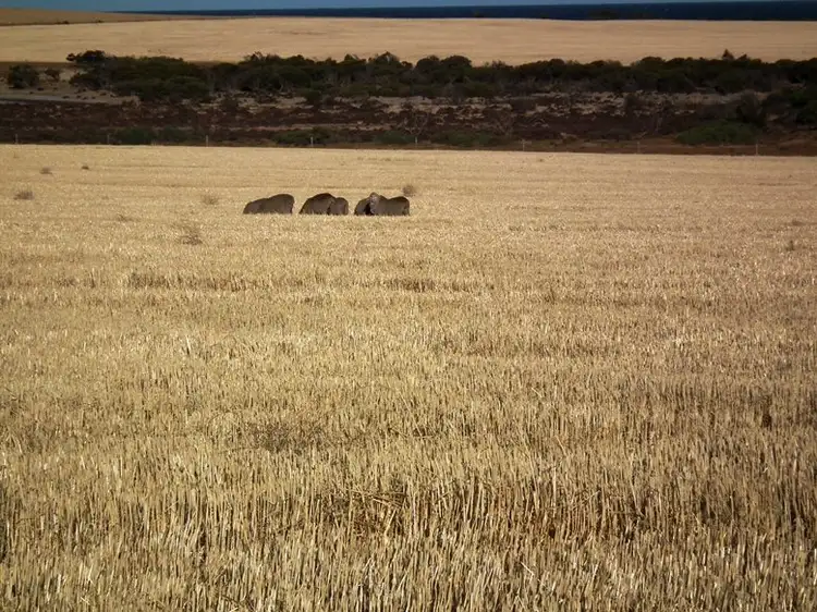 Fifth view of Homely rural property listing, Pcs 1-3 & 7-9 Hundred of Dixson, Port Neill SA 5604