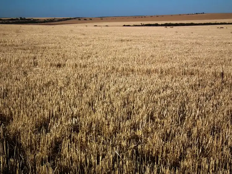 Sixth view of Homely rural property listing, Pcs 1-3 & 7-9 Hundred of Dixson, Port Neill SA 5604