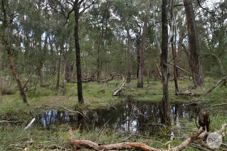 Third view of Homely land listing, LOT 5 Blackfellows Lane, Hillcrest VIC 3351