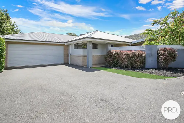 81 Jacaranda Street, West Albury NSW 2640
