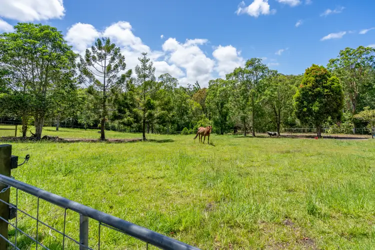 Fifth view of Homely house listing, 11 Vince Hinde Drive, Worongary QLD 4213