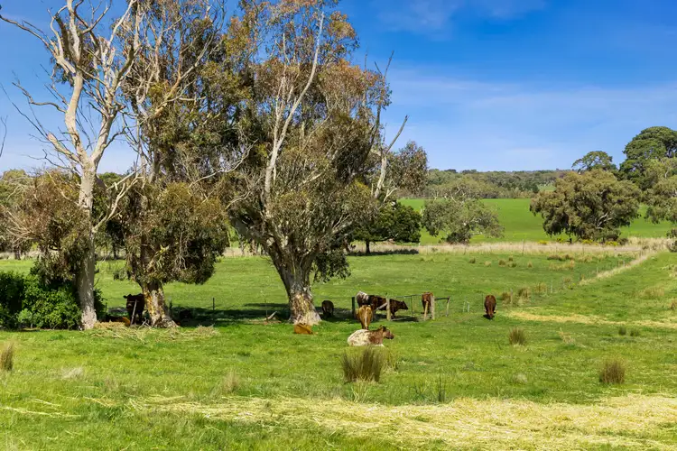 Third view of Homely rural property listing, 815 Anglesea Road, Freshwater Creek VIC 3217