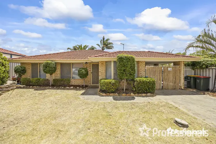 Main view of Homely house listing, 4 Mimosa Court, Marangaroo WA 6064