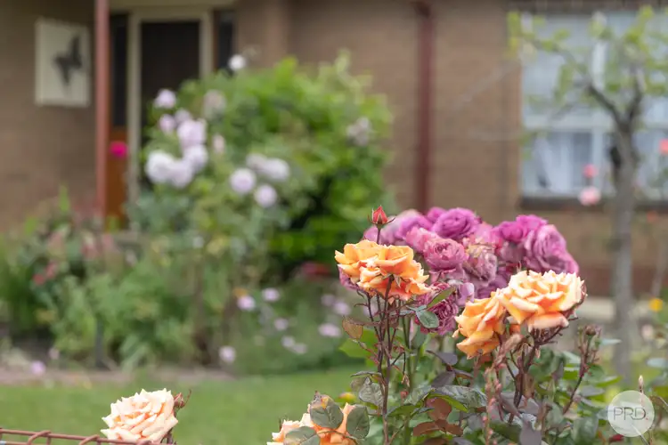 Third view of Homely house listing, 42 Webbcona Parade, Wendouree VIC 3355