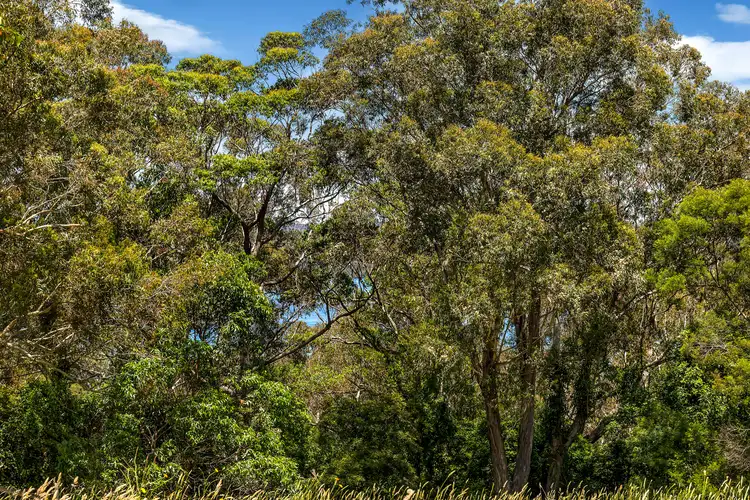Seventh view of Homely land listing, 3 Winston Place, Tuross Head NSW 2537