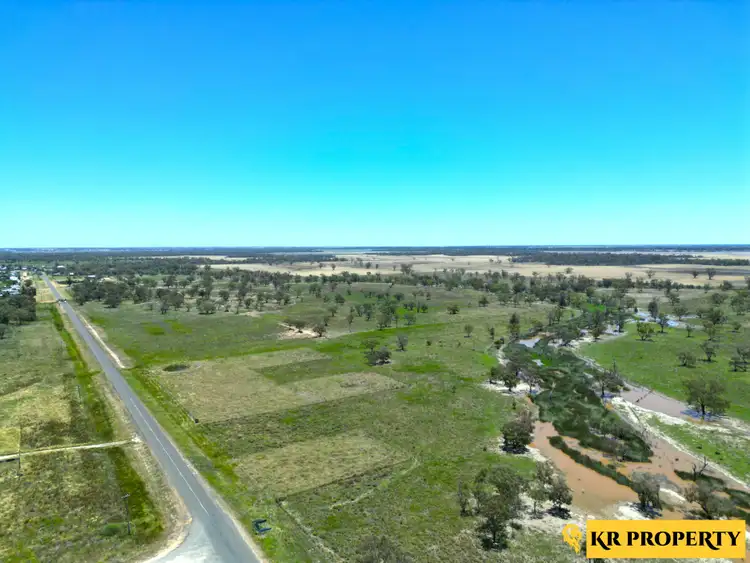Seventh view of Homely land listing, 6 Dangar Street, Pilliga NSW 2388