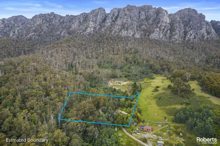 164 Wildlife Road, Claude Road TAS 7306