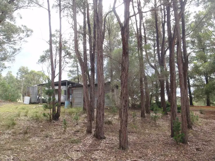 Sixth view of Homely rural property listing, 1096 Bocoble Road, Mudgee NSW 2850