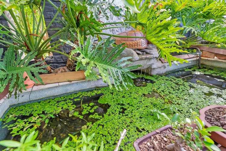 Fifth view of Homely house listing, 78 Clarke Street, Manunda QLD 4870