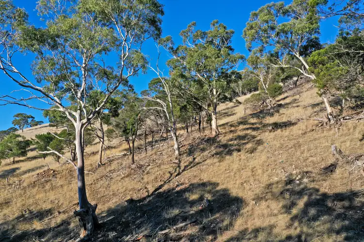 Fifth view of Homely land listing, 29 Black Swan Rise, Granton TAS 7030