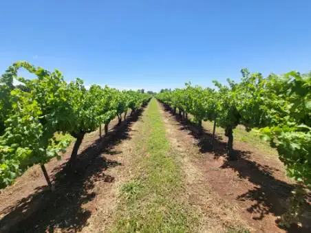Fourth view of Homely land listing, 260 Oakes Road, Yoogali NSW 2680