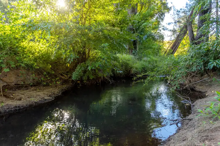 Fourth view of Homely rural property listing, 39 Lochinvar Road, Wherrol Flat NSW 2429