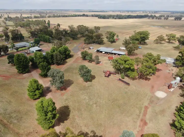 Main view of Homely rural property listing, 'Coon Park', 509 Wilga Plains Road, Ungarie NSW 2669