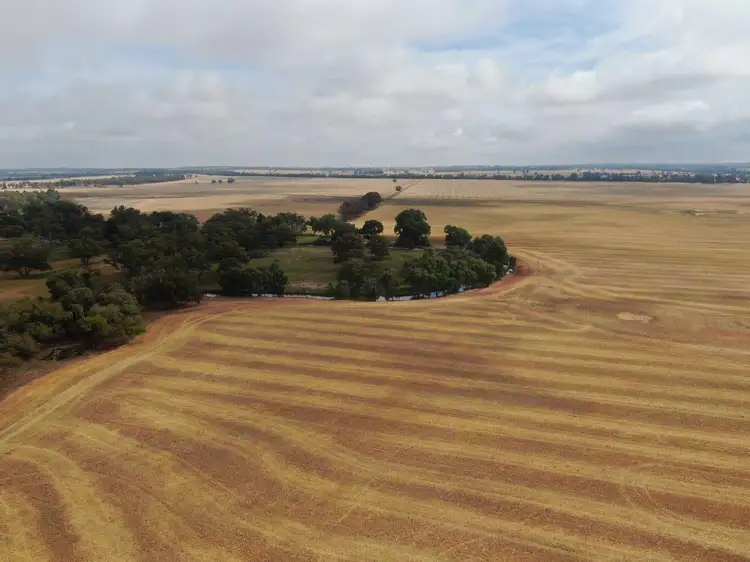 Second view of Homely rural property listing, 'Coon Park', 509 Wilga Plains Road, Ungarie NSW 2669