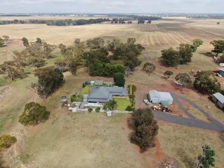 Third view of Homely rural property listing, 'Coon Park', 509 Wilga Plains Road, Ungarie NSW 2669