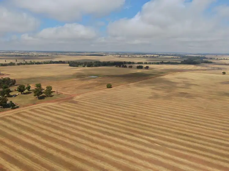 Fourth view of Homely rural property listing, 'Coon Park', 509 Wilga Plains Road, Ungarie NSW 2669