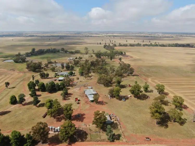 Sixth view of Homely rural property listing, 'Coon Park', 509 Wilga Plains Road, Ungarie NSW 2669