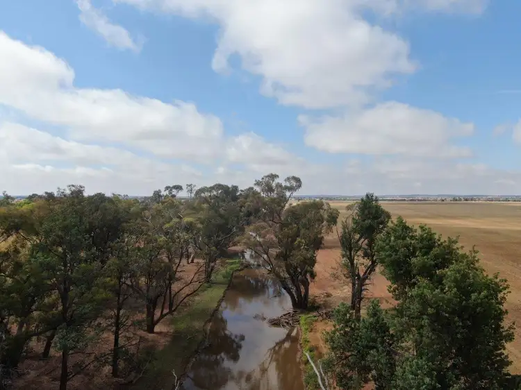 Seventh view of Homely rural property listing, 'Coon Park', 509 Wilga Plains Road, Ungarie NSW 2669
